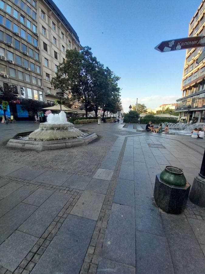 Apartamento Skardarlija Pijaca Studio Belgrado Exterior foto